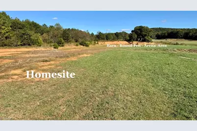 481 Ellis Hardy Road #22.3 Ac, Pinnacle, NC NC - Photo 4