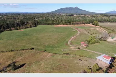 481 Ellis Hardy Road #22.3 Ac, Pinnacle, NC NC - Photo 10