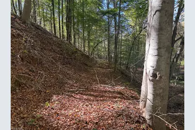 150 Teardrop Acres Way, Elkin, NC 28621 - Photo 46