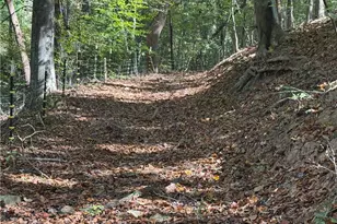 150 Teardrop Acres Way, Elkin, NC 28621 - Photo 48