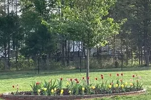 216 Parks Meadows Dr, Lexington, NC 27292 - Photo 26