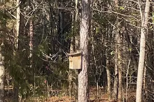 216 Parks Meadows Dr, Lexington, NC 27292 - Photo 42