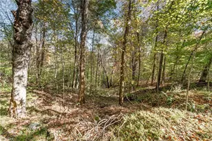 2080 Pannel Rd, Reidsville, NC 27320 - Photo 40