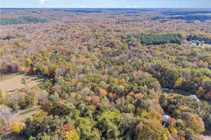 2080 Pannel Rd, Reidsville, NC 27320 - Photo 50