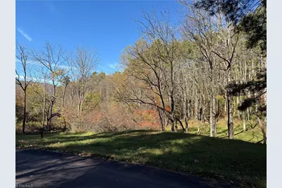 Tbd Jake Blackburn Road, Lansing, NC Lansi - Photo 18