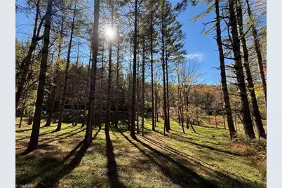 Tbd Jake Blackburn Road, Lansing, NC Lansi - Photo 4