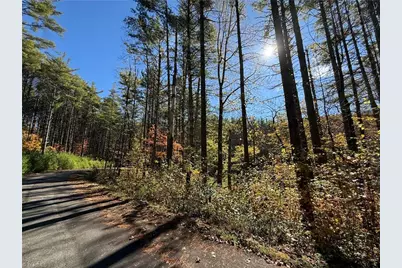 Tbd Jake Blackburn Road, Lansing, NC Lansi - Photo 10