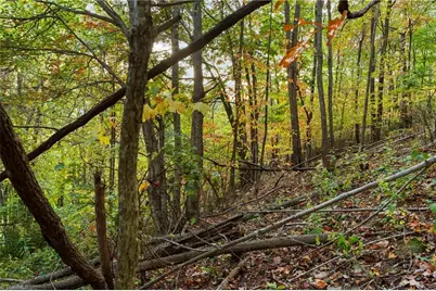 Lot 16 Little Ivy Lane, Deep Gap, NC 28618 - Photo 6