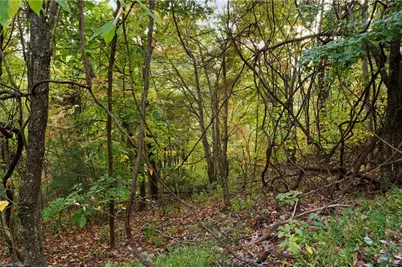 Lot 16 Little Ivy Lane, Deep Gap, NC 28618 - Photo 1