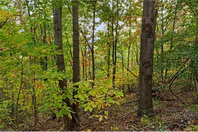 Lot 16 Little Ivy Lane, Deep Gap, NC 28618 - Photo 2
