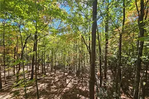 1228 Powder Horn Mountain Rd, Deep Gap, NC 28618 - Photo 40