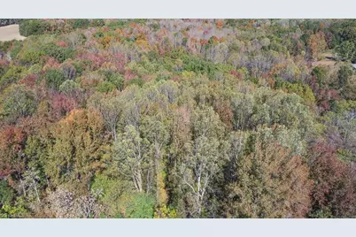 2241 Nc Highway 87, Reidsville, NC 27320 - Photo 6