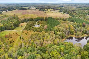 6764 Bradshaw Farm Rd, Efland, NC 27243 - Photo 42