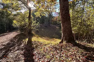 334 Souther Rd, North Wilkesboro, NC 28659 - Photo 8