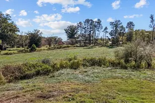 6464 Bonlee Bennett Rd, Bear Creek, NC 27207 - Photo 44