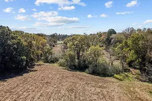 6464 Bonlee Bennett Rd, Bear Creek, NC 27207 - Photo 4