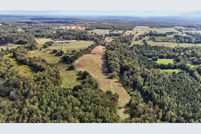 6464 Bonlee Bennett Road, Bear Creek, NC 27207 - Photo 8