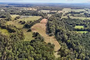 6464 Bonlee Bennett Rd, Bear Creek, NC 27207 - Photo 8