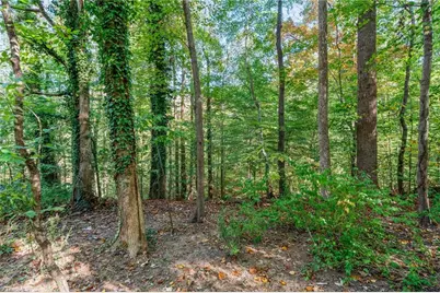 199 Sonata Drive, Lewisville, NC 27023 - Photo 26