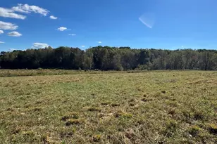 876 Rock Hill Church Rd, Ararat, NC 27007 - Photo 14