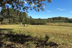 876 Rock Hill Church Rd, Ararat, NC 27007 - Photo 12