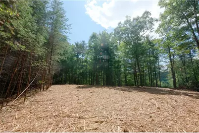 1960 Rich Mountain Road, Morganton, NC 28655 - Photo 24