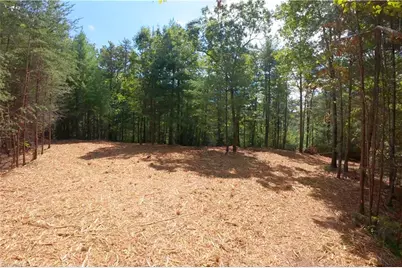 1960 Rich Mountain Road, Morganton, NC 28655 - Photo 6