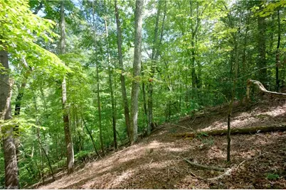 1960 Rich Mountain Road, Morganton, NC 28655 - Photo 28