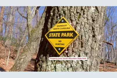 1960 Rich Mountain Road, Morganton, NC 28655 - Photo 4