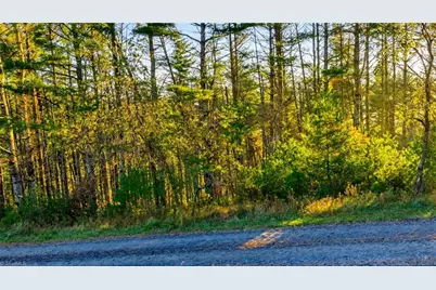 Tbd - 18 Davis Acres Drive, West Jefferson, NC 28694 - Photo 4