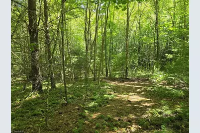 Tbd 50 Deer Spring Lane, West Jefferson, NC 28694 - Photo 2