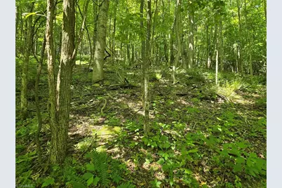 Tbd 66 White Tail Trail, West Jefferson, NC 28694 - Photo 4