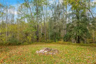 2226/2234 Nc 268, Pilot Mountain, NC 27041 - Photo 40