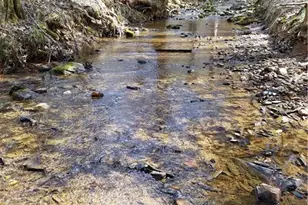 1261 Turkey Ford Rd, Mount Airy, NC 27030 - Photo 4