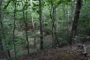 183 E Aiken Rd, Eden, NC 27288 - Photo 42