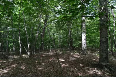 183 E Aiken Road, Eden, NC 27288 - Photo 44