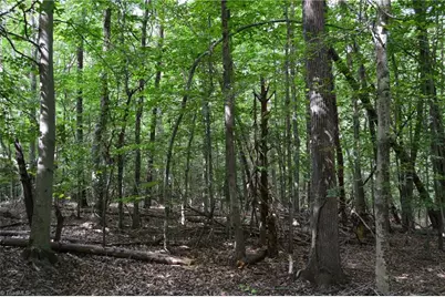 183 E Aiken Road, Eden, NC 27288 - Photo 40