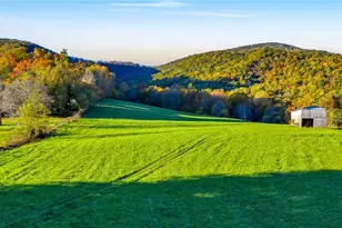 343 Saddle Gap Rd, West Jefferson, NC 28694 - Photo 38