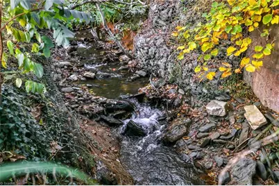 343 Saddle Gap Road, West Jefferson, NC 28694 - Photo 12