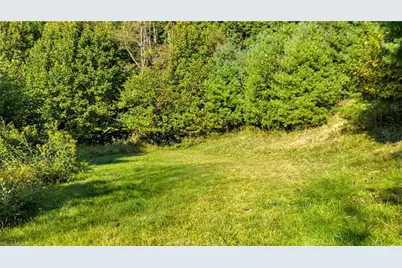 Tbd Mulatto Mountain Road, West Jefferson, NC 28694 - Photo 4