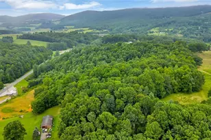 2351 US Hwy 221, Jefferson, NC 28640 - Photo 46