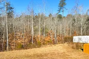 6801 Capstone Ct, Rural Hall, NC 27045 - Photo 30