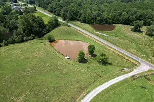 300 Tom Hunter Rd, Pilot Mountain, NC 27041 - Photo 4