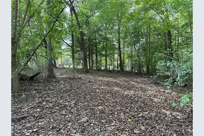 301 Zeb Ferguson Road, Siler City, NC 27344 - Photo 30