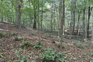 301 Zeb Ferguson Rd, Siler City, NC 27344 - Photo 28