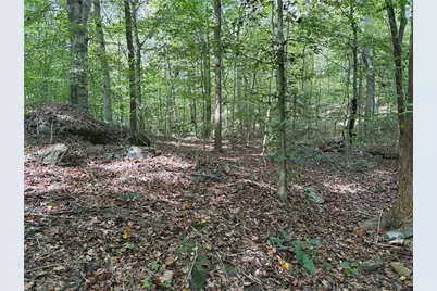 301 Zeb Ferguson Road, Siler City, NC 27344 - Photo 24