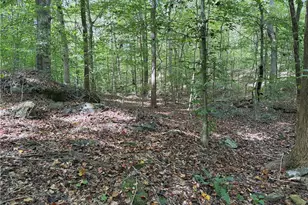 301 Zeb Ferguson Rd, Siler City, NC 27344 - Photo 24