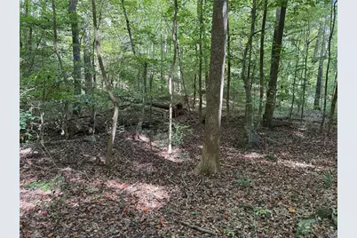 301 Zeb Ferguson Road, Siler City, NC 27344 - Photo 26