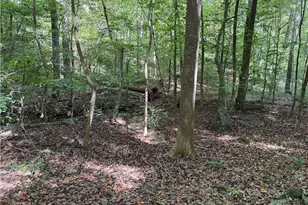 301 Zeb Ferguson Rd, Siler City, NC 27344 - Photo 26