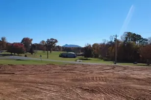 339 Jessup Grove Church Rd, Pilot Mountain, NC 27041 - Photo 8